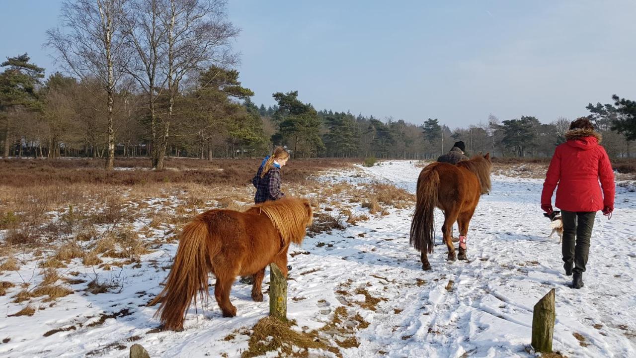 Chalet Op De Veluwe # Eiken Putten Extérieur photo