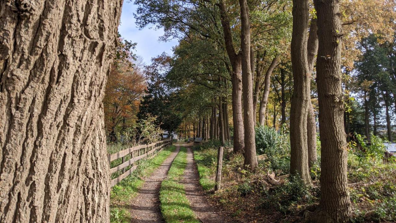 Chalet Op De Veluwe # Eiken Putten Extérieur photo