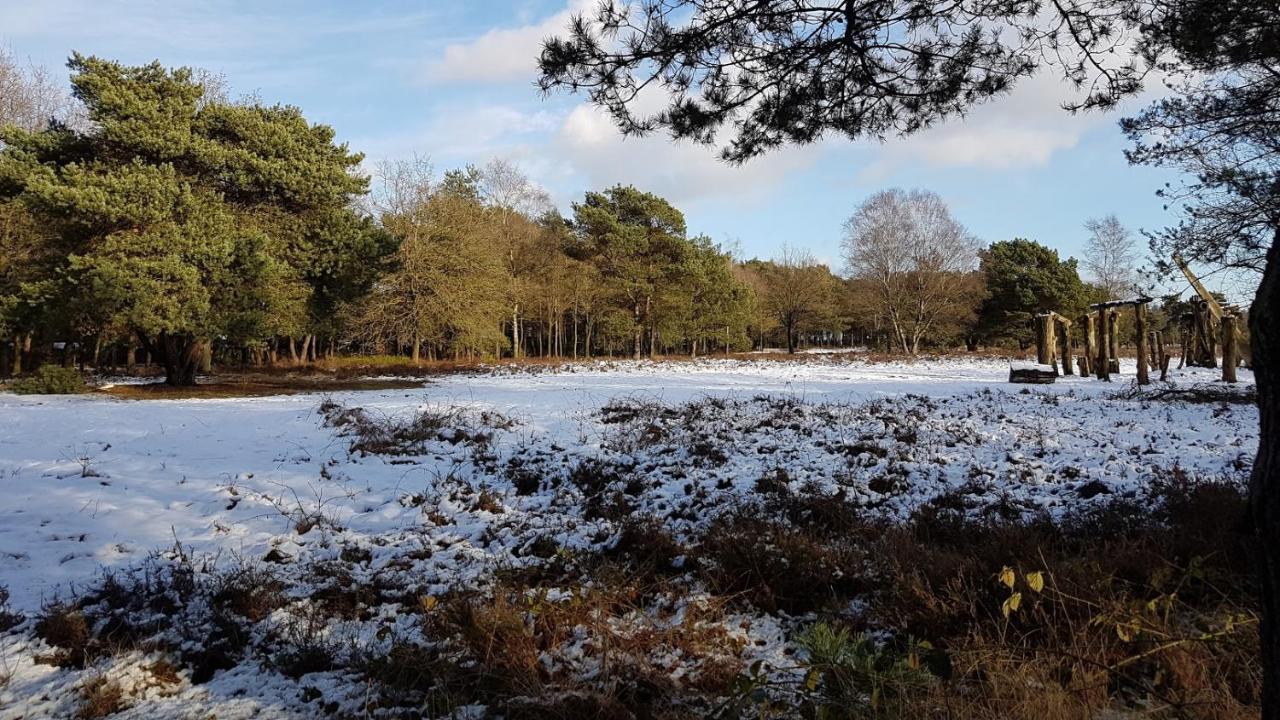 Chalet Op De Veluwe # Eiken Putten Extérieur photo